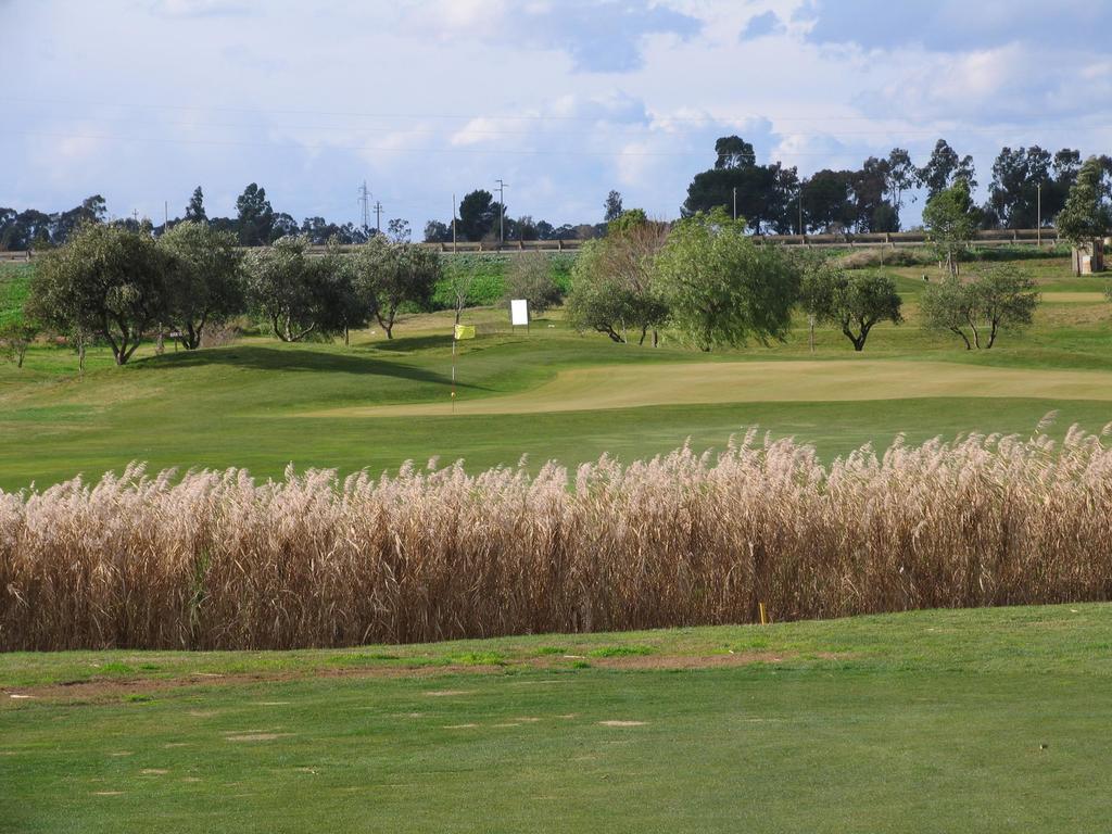 Golf Club Metaponto Guest House Exterior foto